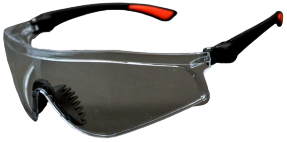NEI-1231